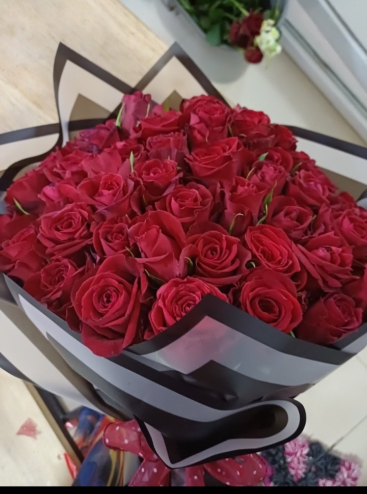 whatsapp image 2025 12 28 at 13.00.20 (1)