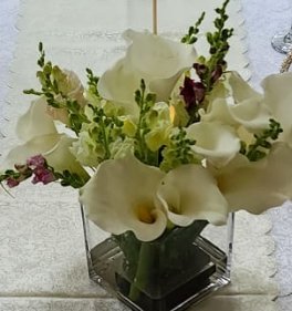 whatsapp image 2025 12 28 at 13.13.59